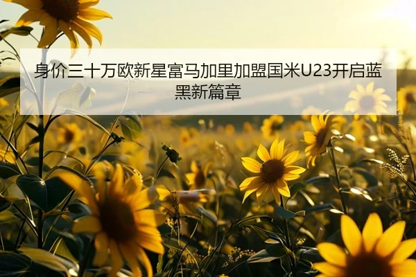 身价三十万欧新星富马加里加盟国米U23开启蓝黑新篇章 | XINGKONG